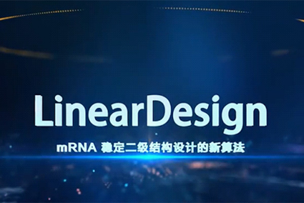 暢談mRNA技術(shù)全流程4： 為什么梁山的一百單八將要排座次？ 談?wù)刴RNA序列優(yōu)化