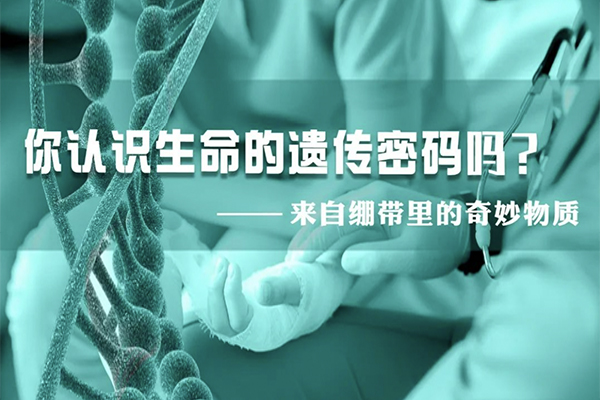 科普園地|來自繃帶里的奇妙物質(zhì)，你認(rèn)識生命的遺傳密碼嗎？