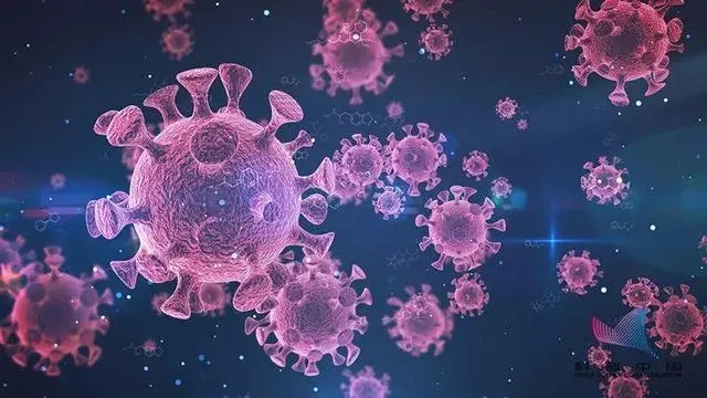 Antibody Response and Therapy in COVID-19 Patients:Significance in Vaccine Development 