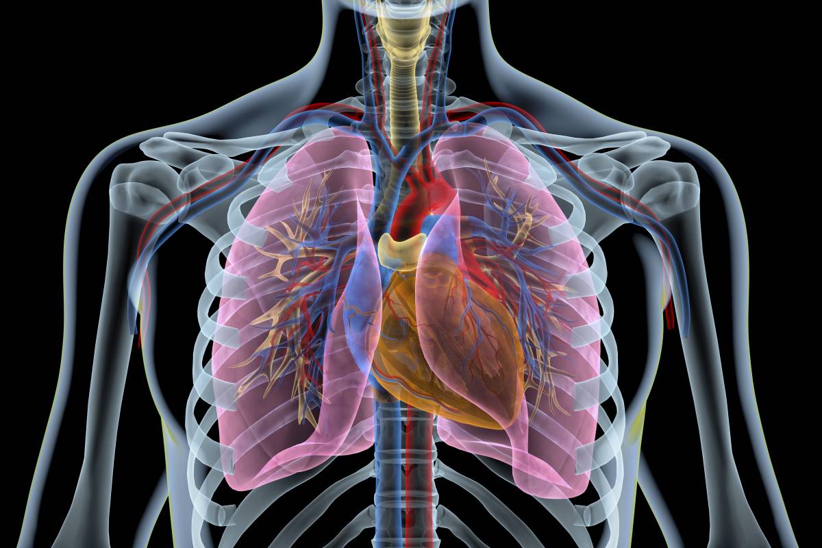 Chimeric antigen receptor T cell targeting EGFRvIII for metastatic lung cancer therapy