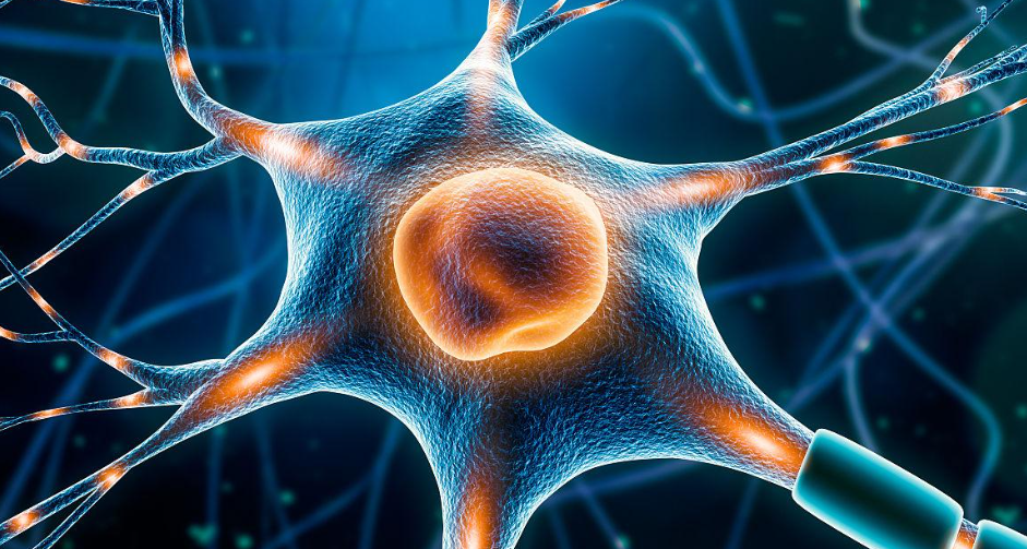 Tumor?associated antigen?based personalized dendritic cell vaccine in solid tumor patients