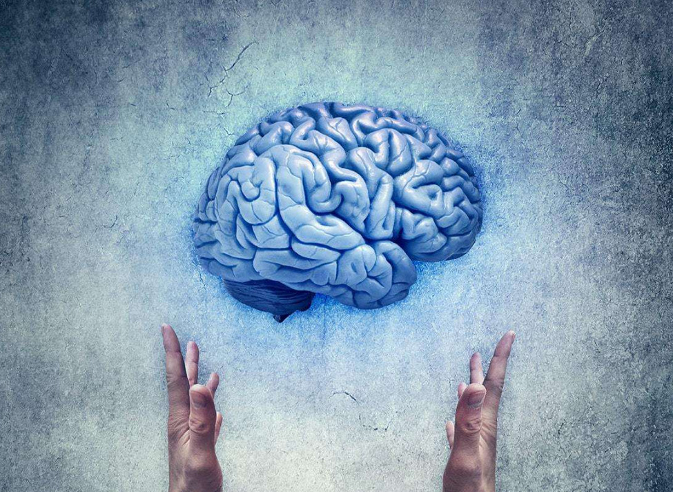 A Multi-Element Expression Score Is A Prognostic Factor In Glioblastoma Multiforme