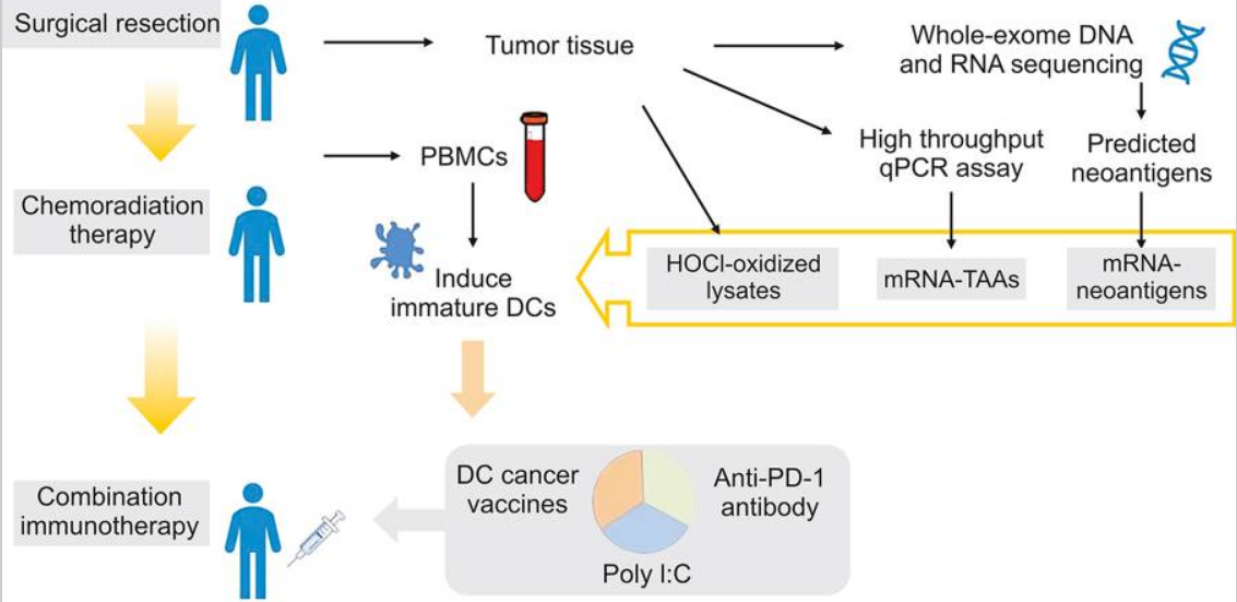 Combination immunotherapy of glioblastoma with dendritic cell cancer vaccines, anti-PD-1 and poly I:C